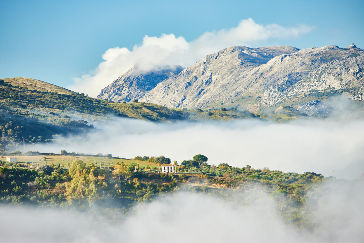 Paisaje natural de la Serranía de Ronda