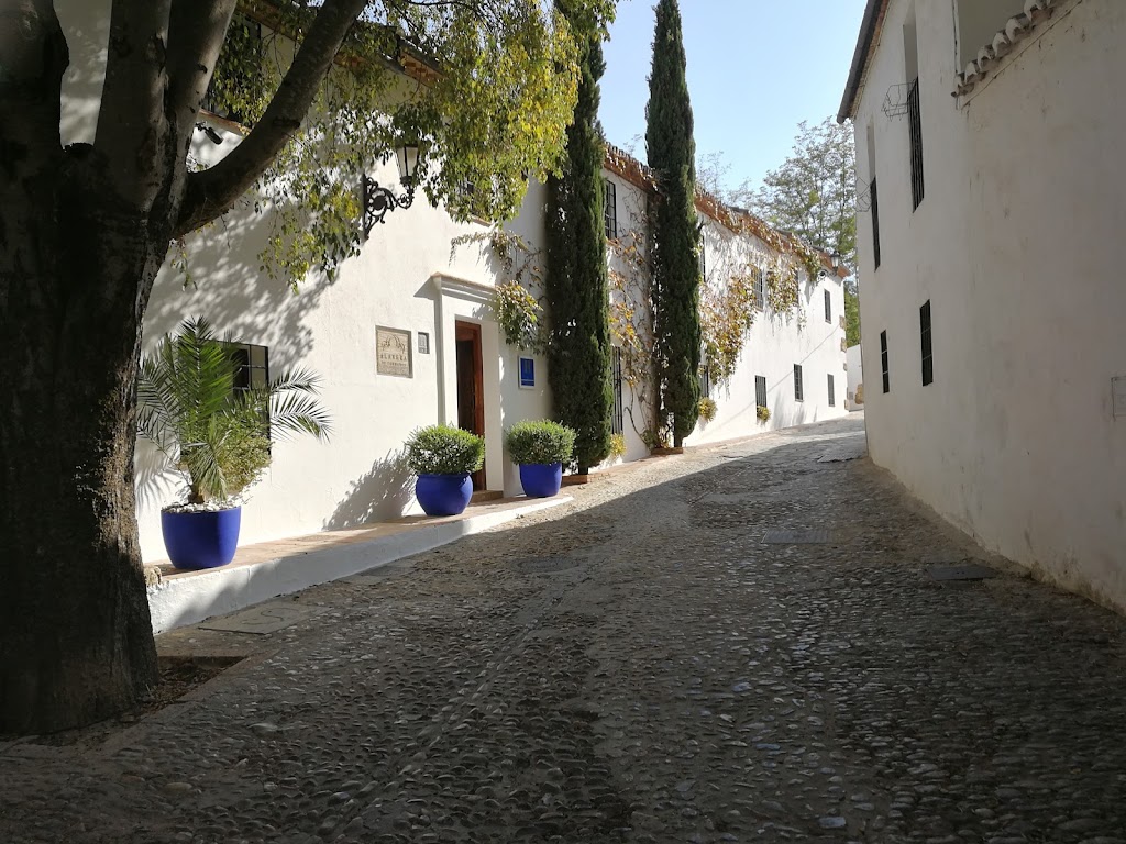Vista de Ronda y la Serranía